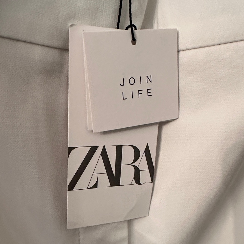 Zara Pants - Picture 2 of 3